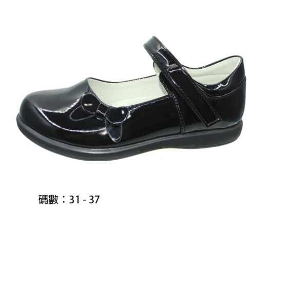 F3733BK