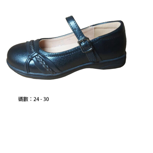 F4016BK