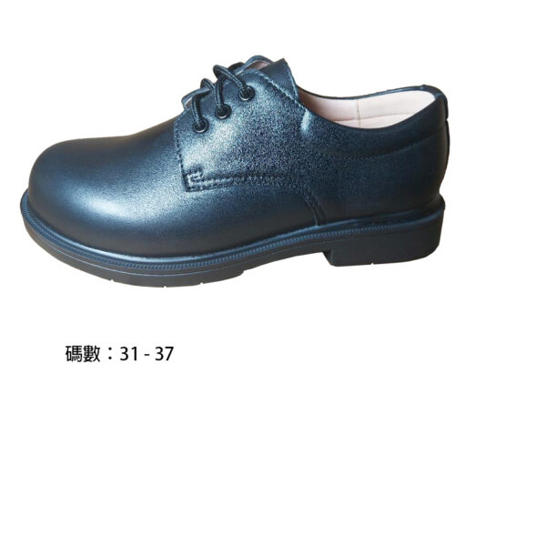 F4433BK