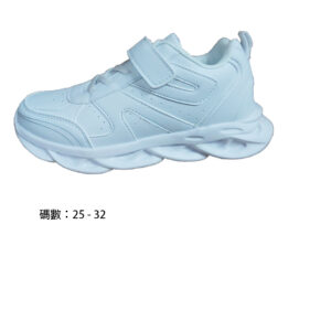 NS2301W