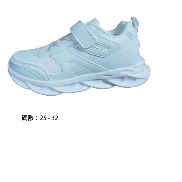 NS2301W